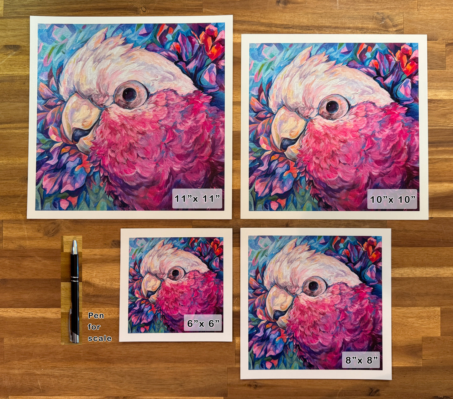 Harry the Galah Print - Square Sizes - 6x6, 8x8, 10x10, 11x11