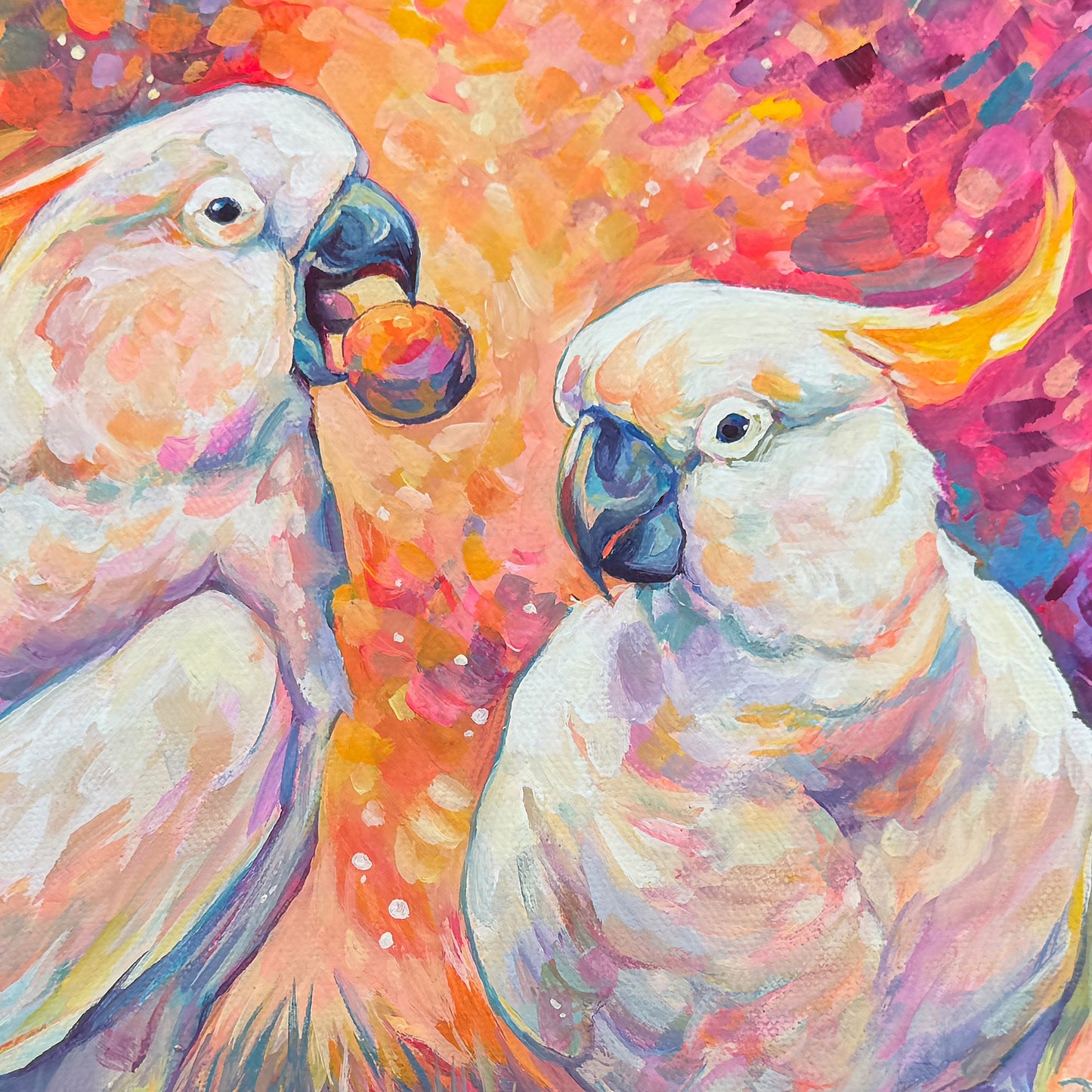 Cockatoos Print - Square Sizes (with border) - 6x6, 8x8, 10x10, 11x11