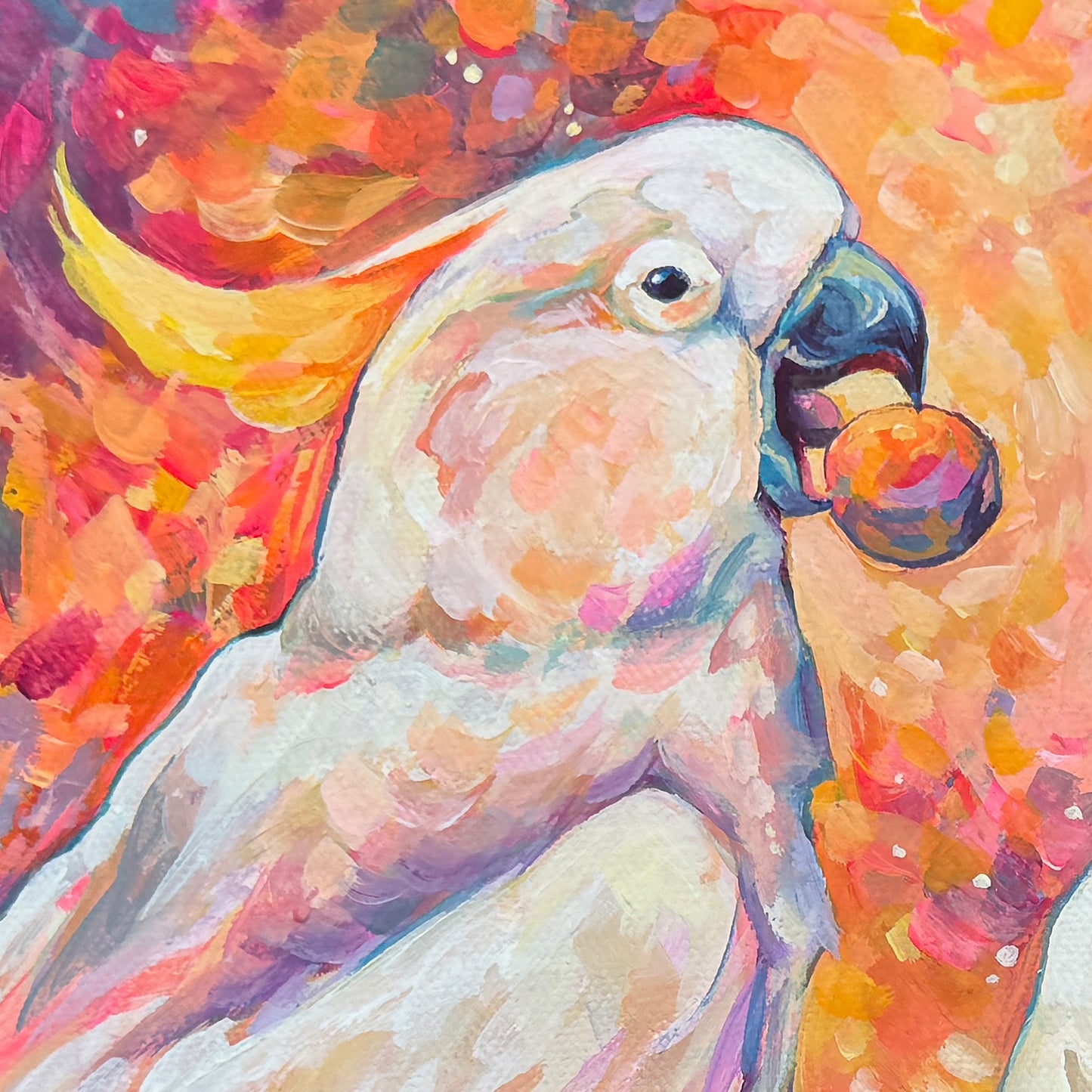 Cockatoos Print - Square Sizes (with border) - 6x6, 8x8, 10x10, 11x11