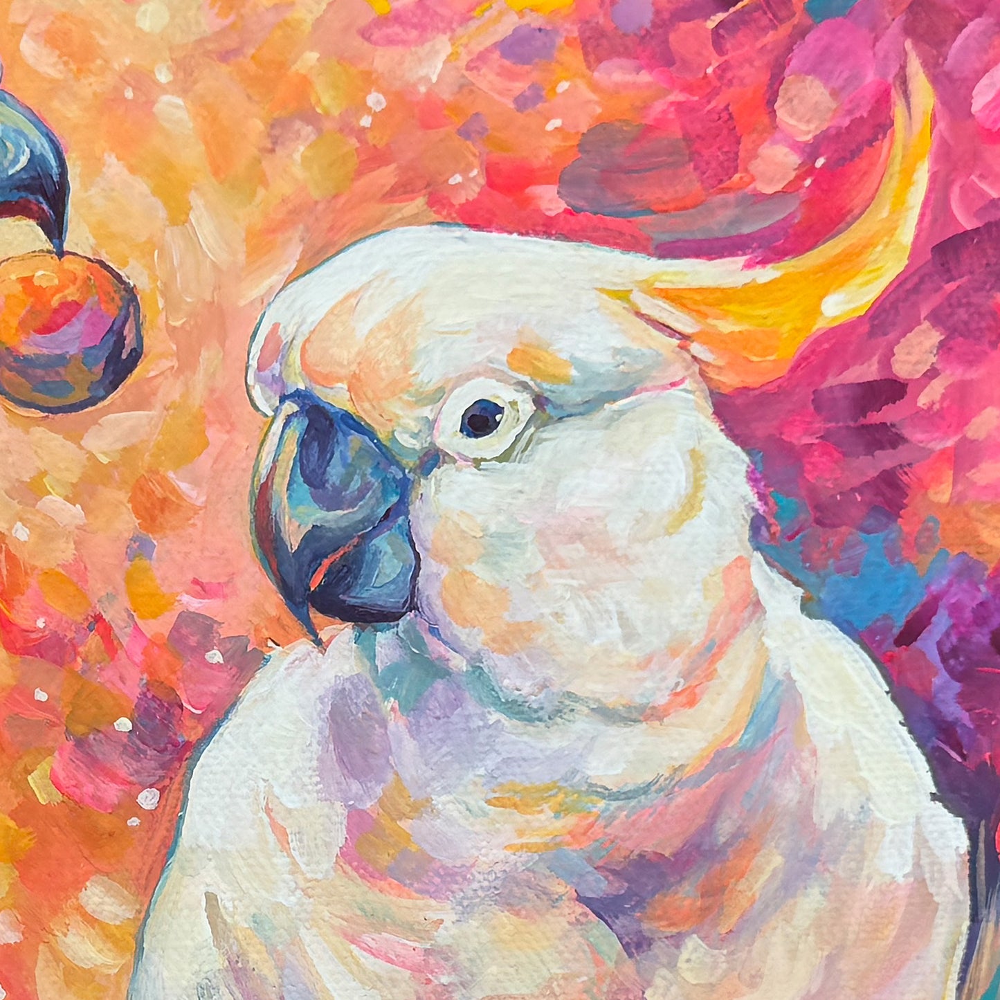 Cockatoos Print - Square Sizes (with border) - 6x6, 8x8, 10x10, 11x11