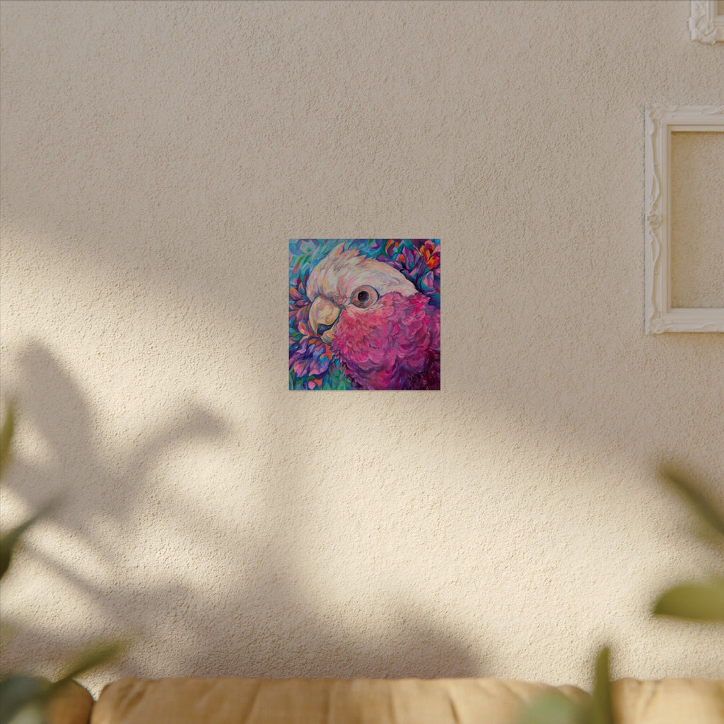 Harry the Galah Square Print