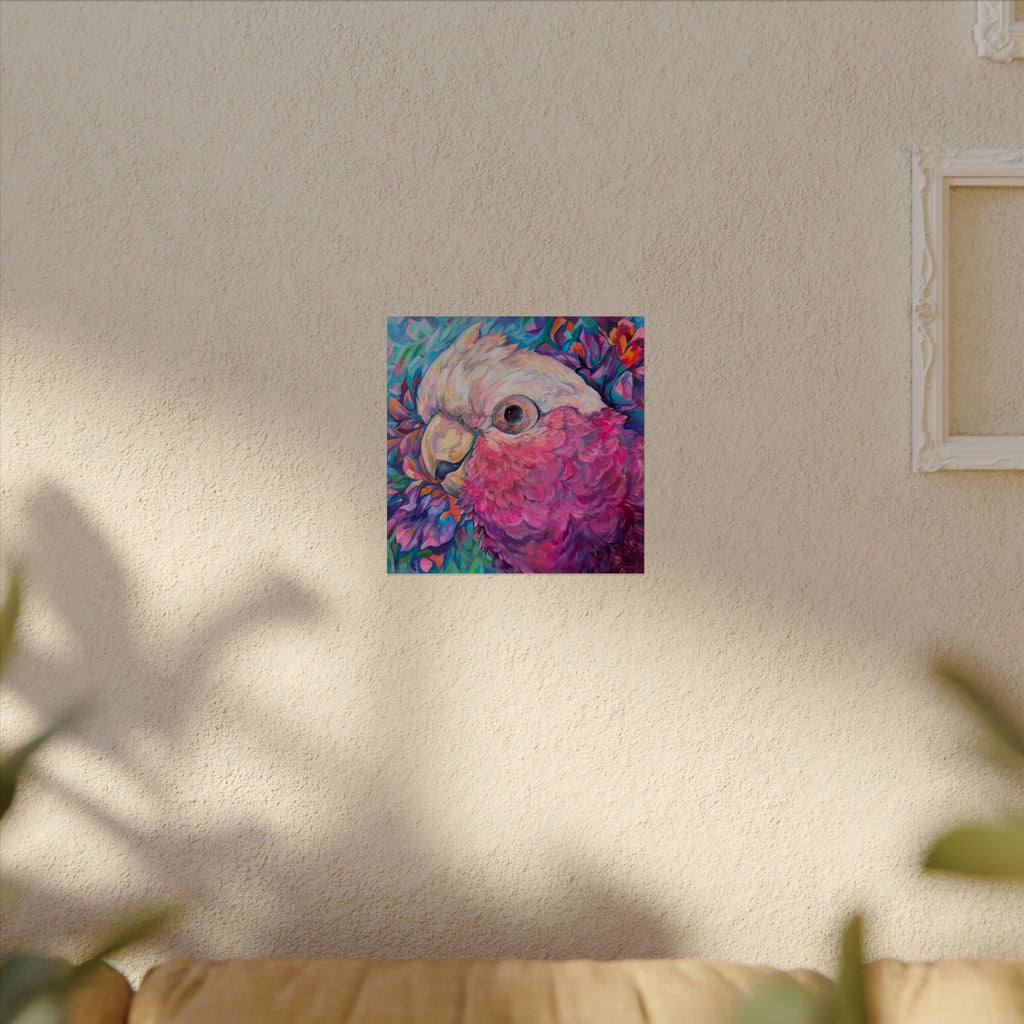 Harry the Galah Square Print