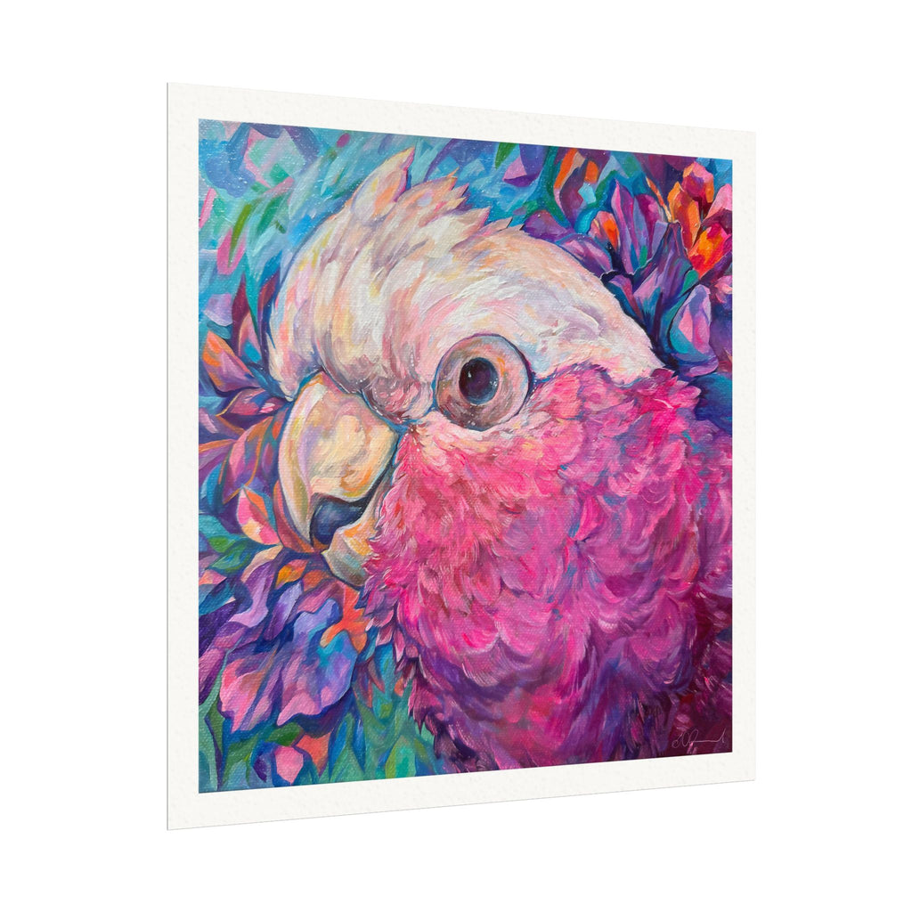 Harry the Galah Boardered Square Print
