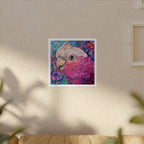 Harry the Galah Boardered Square Print