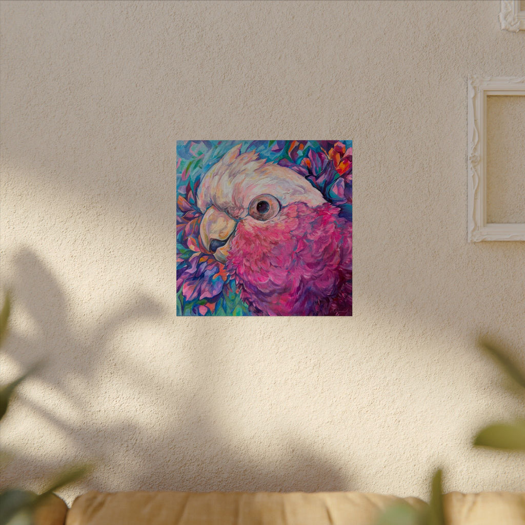 Harry the Galah Square Print