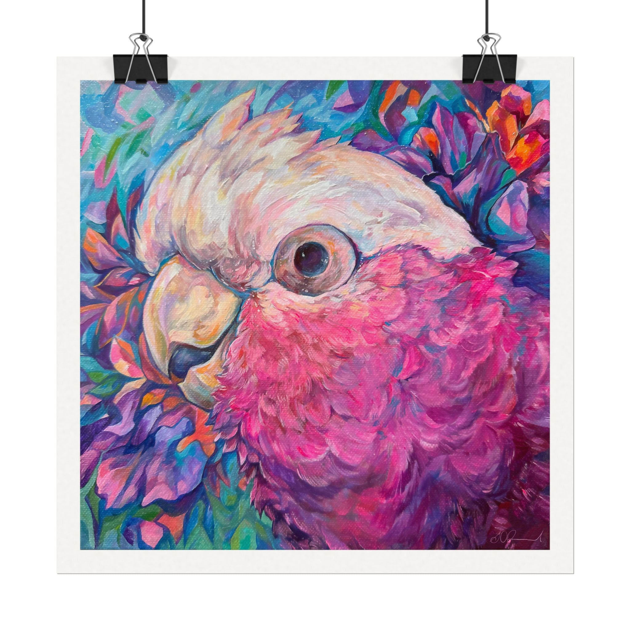 Harry the Galah Boardered Square Print
