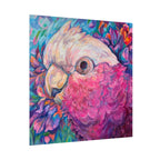 Harry the Galah Square Print