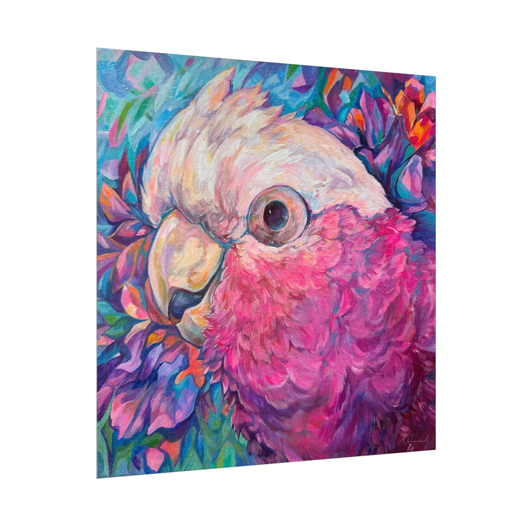 Harry the Galah Square Print