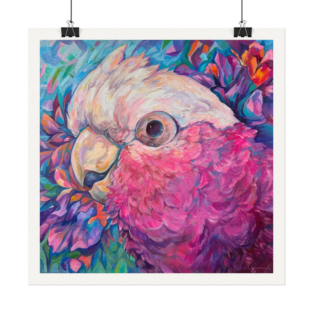 Harry the Galah Boardered Square Print