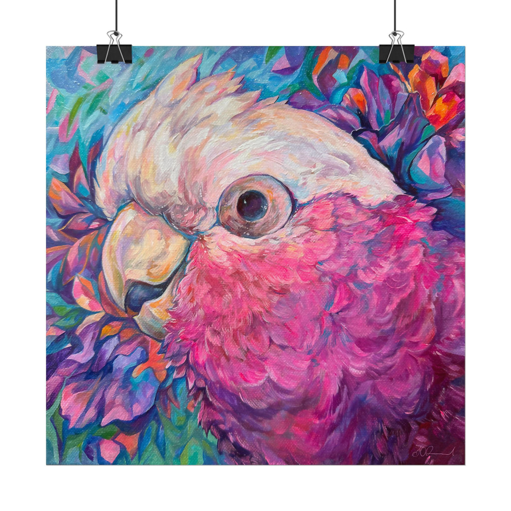 Harry the Galah Square Print