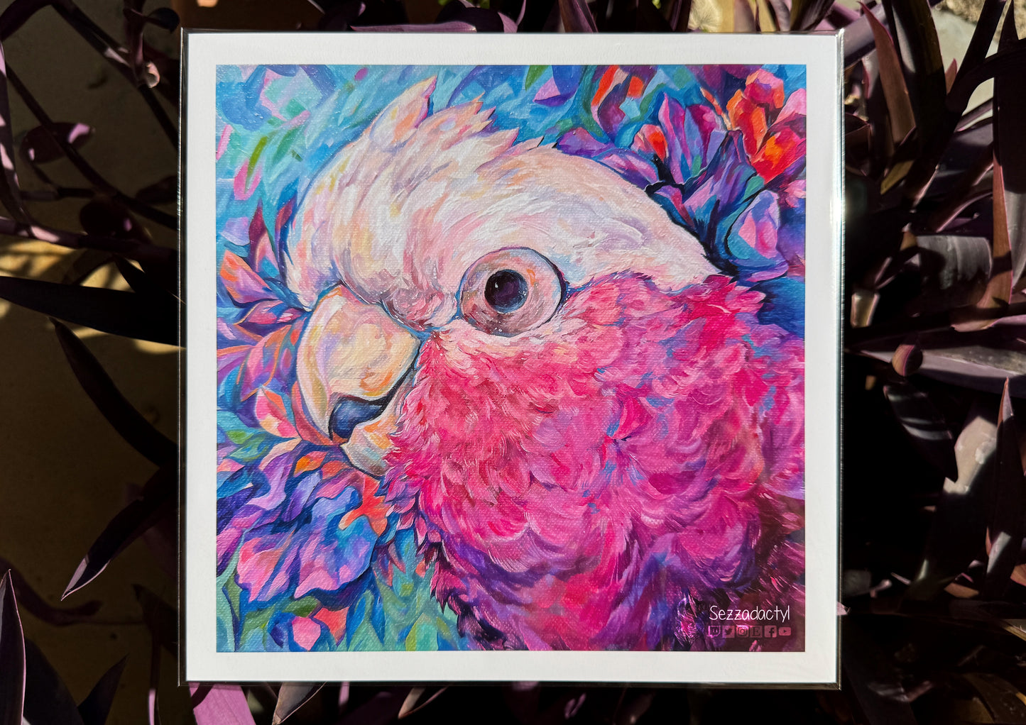 Harry the Galah Print - Square Sizes (with border) - 6x6, 8x8, 10x10, 11x11