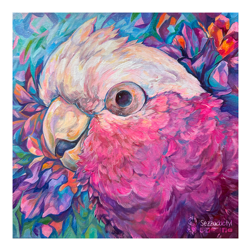 Harry the Galah Print - Square Sizes (with border) - 6x6, 8x8, 10x10, 11x11