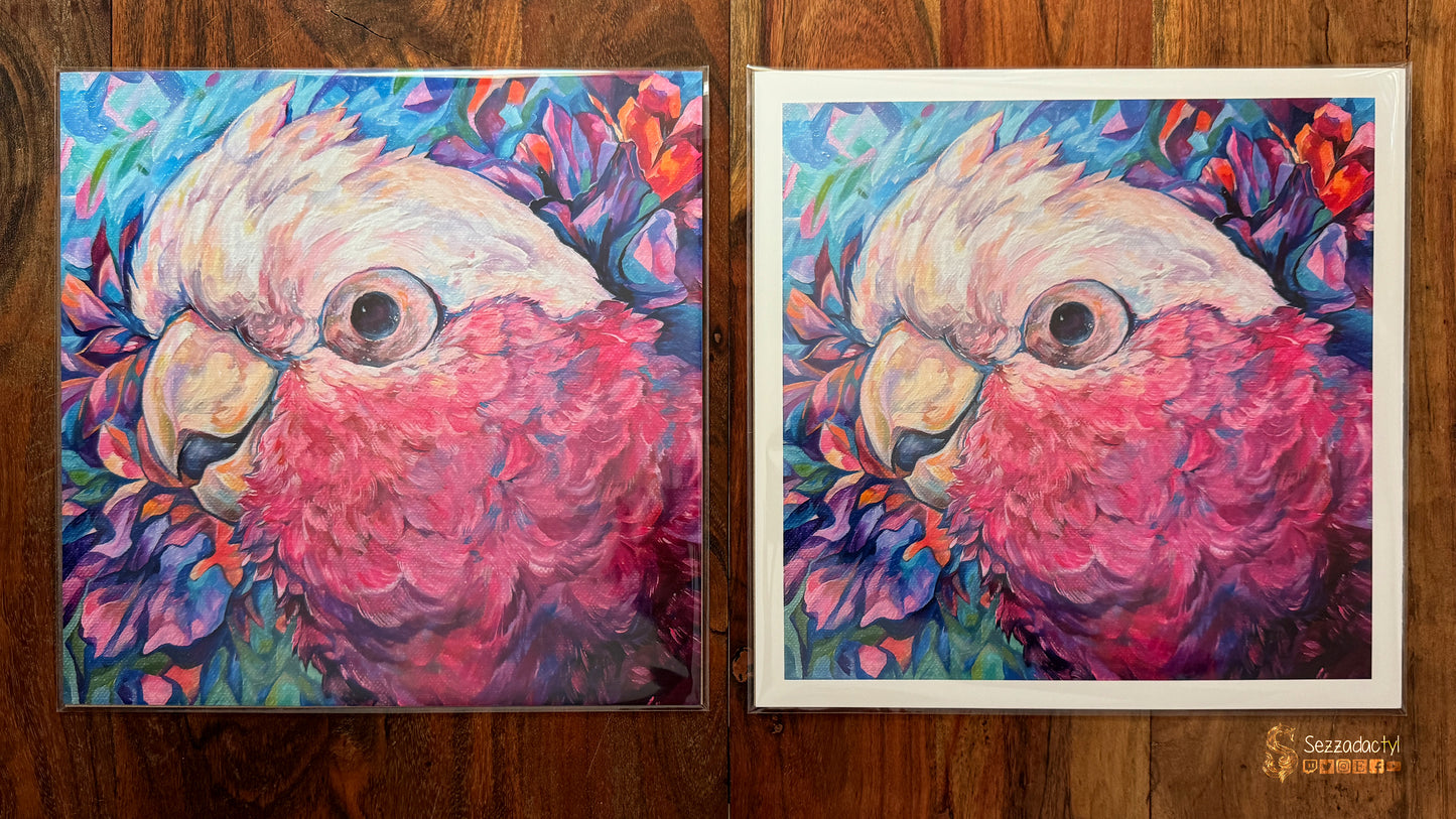 Harry the Galah Print - Square Sizes (with border) - 6x6, 8x8, 10x10, 11x11