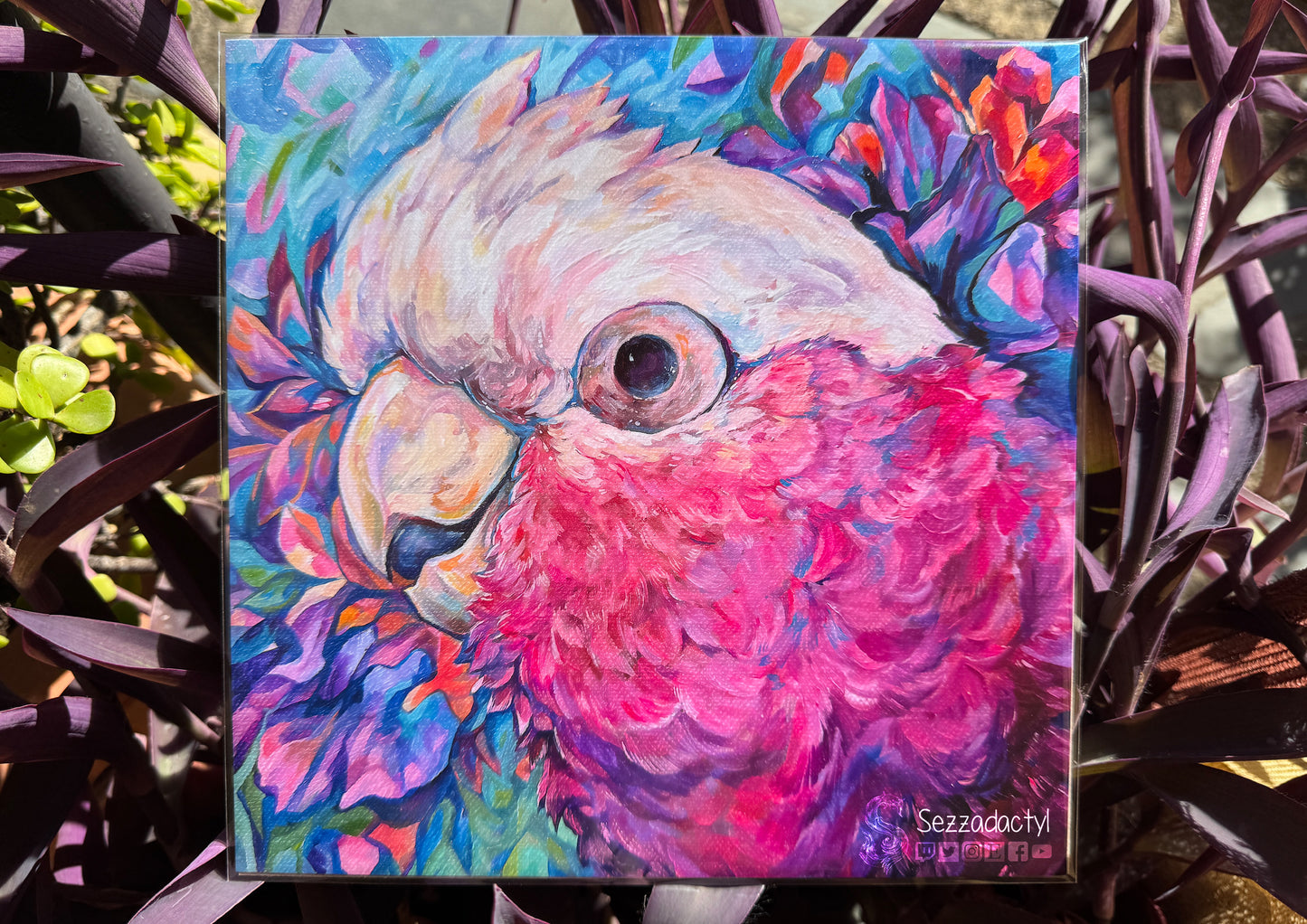 Harry the Galah Print - Square Sizes - 6x6, 8x8, 10x10, 11x11