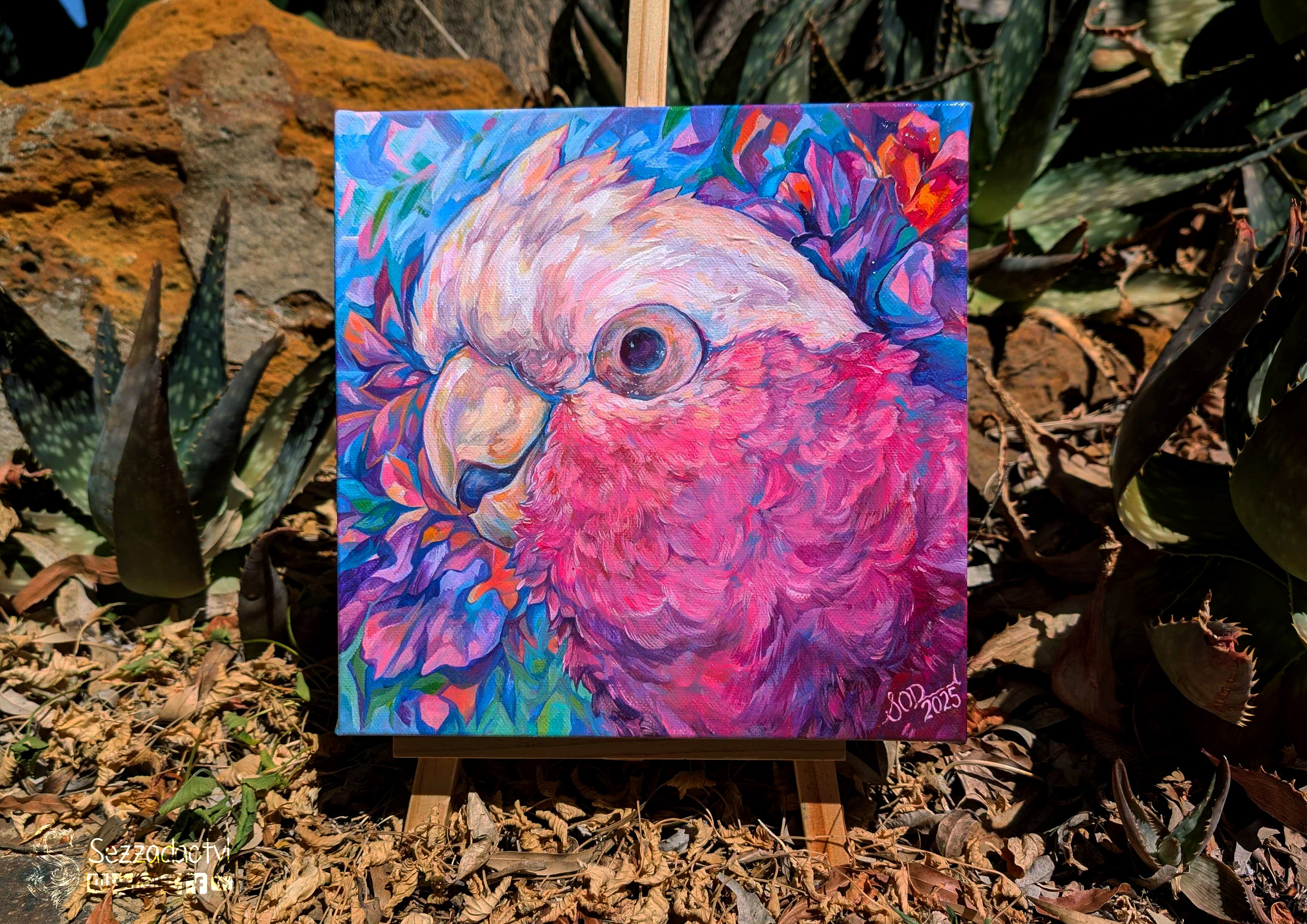 Harry The Galah - Original Painting
