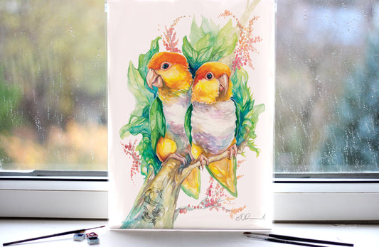 Caique Parrots Print - A3/A4/A5 sizes