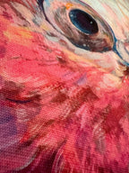 Tote Bag, 5-Color Straps - Harry the Galah